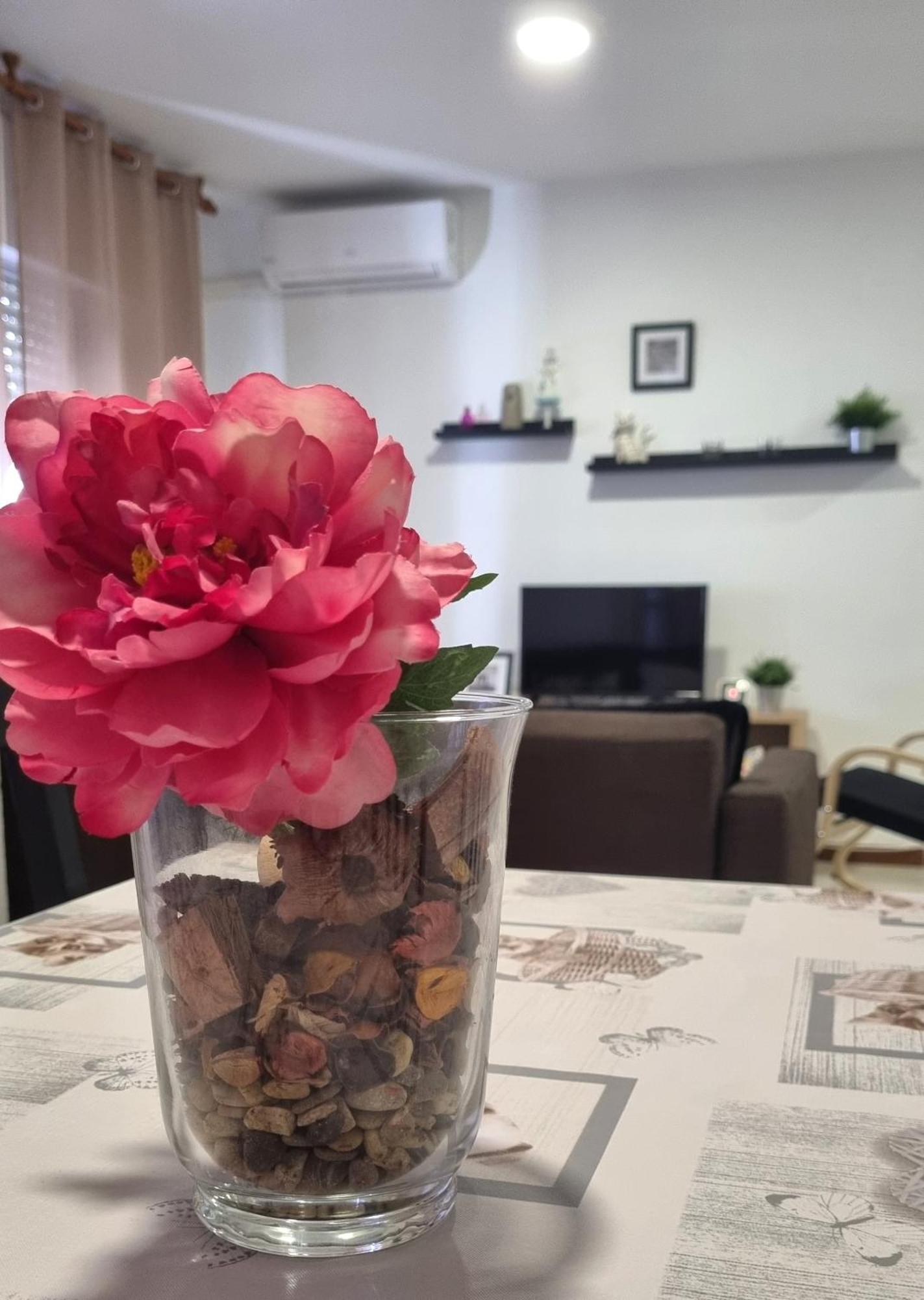Apartamento Cayetano Rota Buitenkant foto